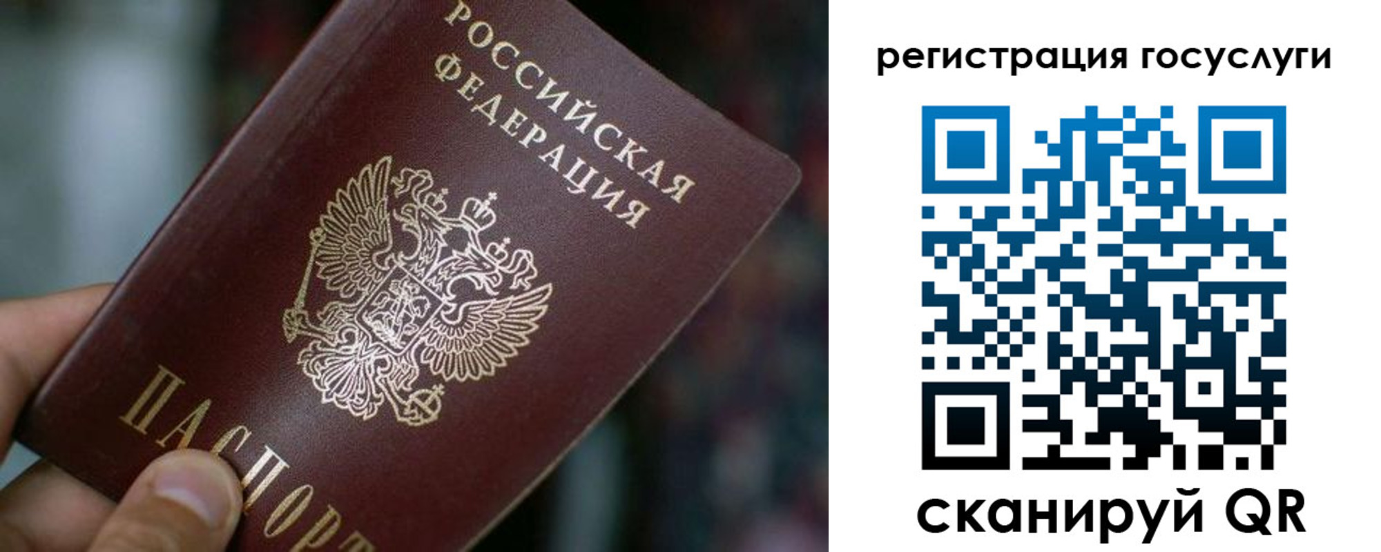 временная прописка в Донском